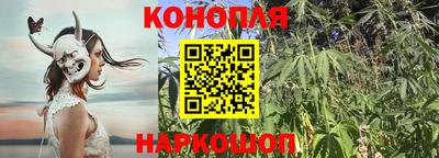 молекула духа Гагарин