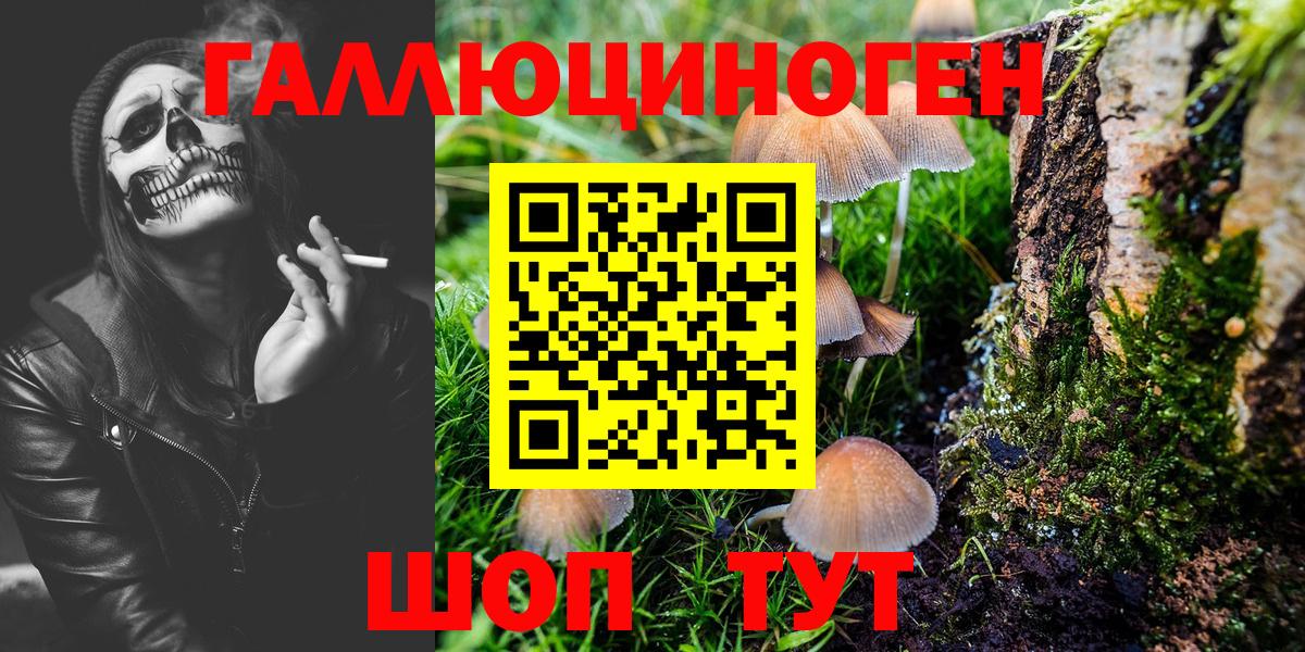 Галлюциногенные грибы Psilocybine cubensis  Вход с VPN  Ликино-Дулёво 