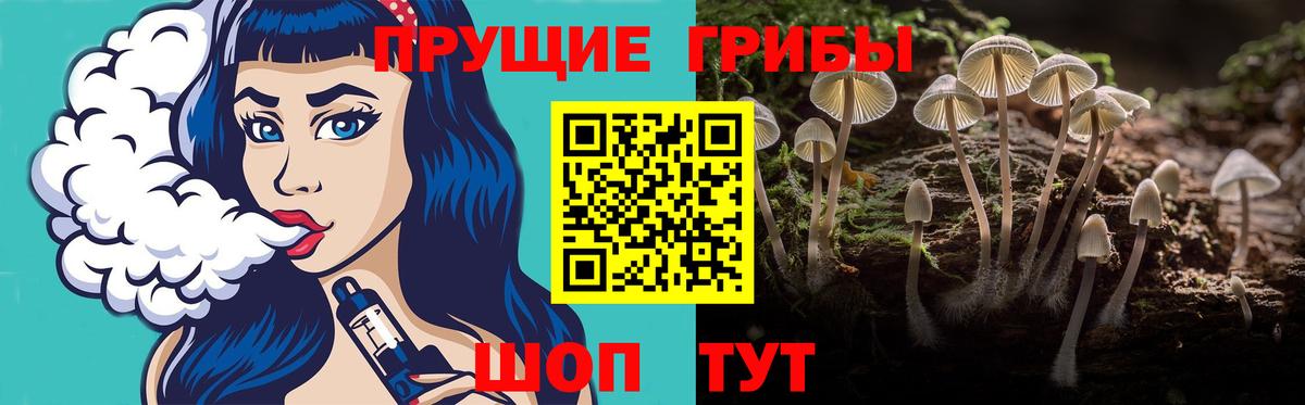 Галлюциногенные грибы GOLDEN TEACHER Ликино-Дулёво